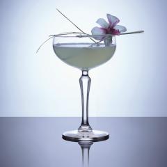 recept Herbalist gin